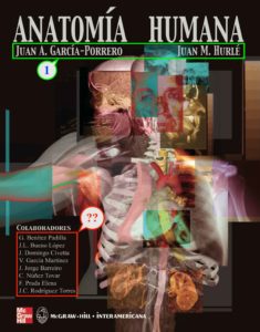 Benitez G ET AL 2005 Anatomia Humana Tesis Profesional - 4